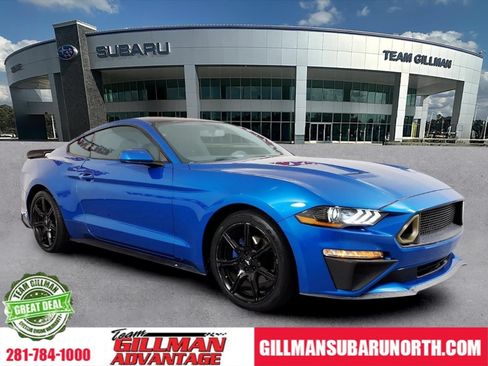 Used 2019 Ford Mustang Coupe w/ Equipment Group 101A RWD image 1