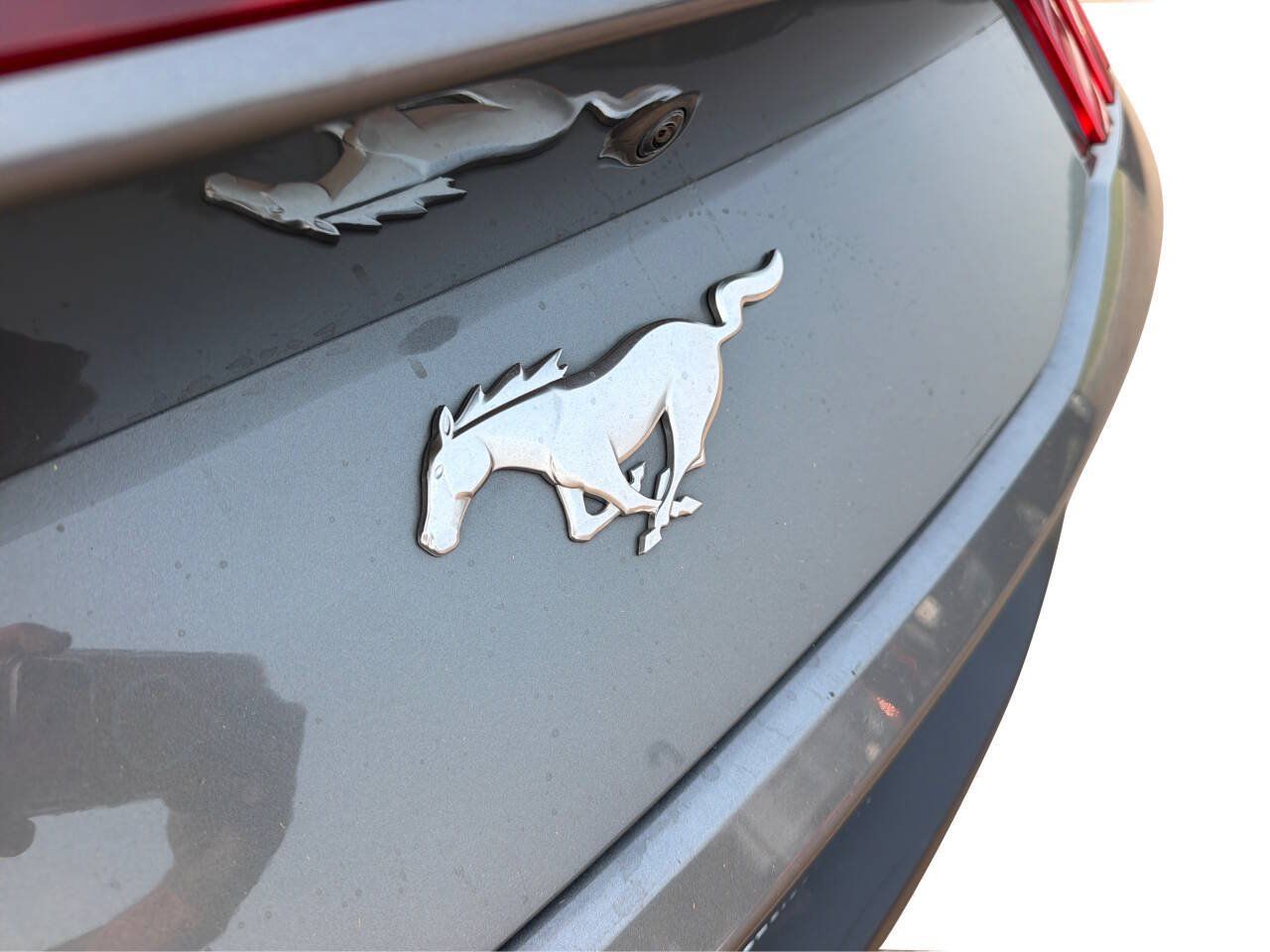 Used 2025 Ford Mustang Premium RWD image 19
