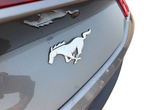 Used 2025 Ford Mustang Premium RWD image 19