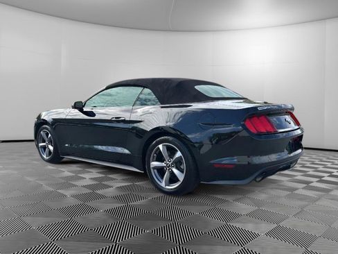 Used 2017 Ford Mustang Premium w/ Equipment Group 201A image 5