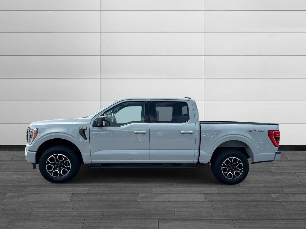 Used 2023 Ford F150 XLT w/ Equipment Group 302A High AWD/4WD image 6