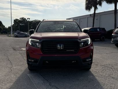 Used 2024 Honda Passport Black Edition