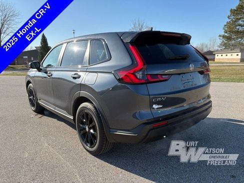 Used 2025 Honda CR-V EX-L image 3
