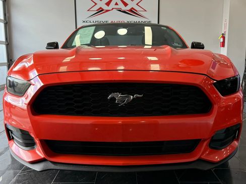Used 2015 Ford Mustang Coupe w/ Enhanced Security Package RWD image 2
