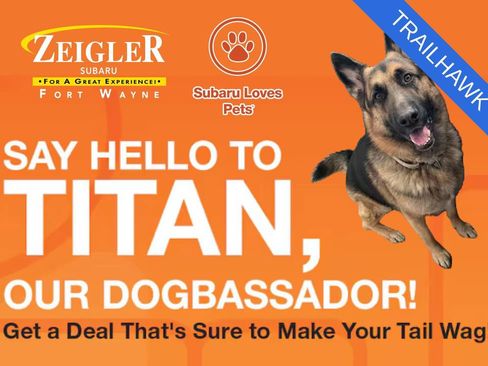 Used 2018 Jeep Compass Trailhawk w/ Cold Weather Group image 13