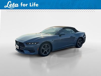 Used 2024 Ford Mustang Premium