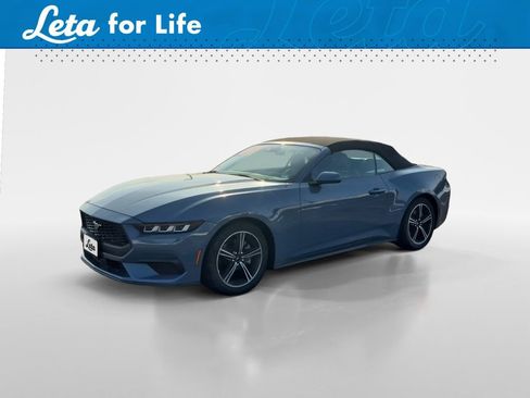 Used 2024 Ford Mustang Premium image 1