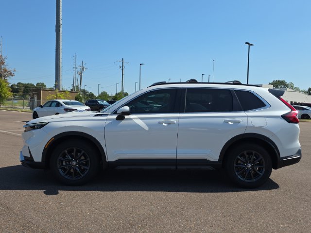 Certified 2026 Honda CR-V EX-L image 6