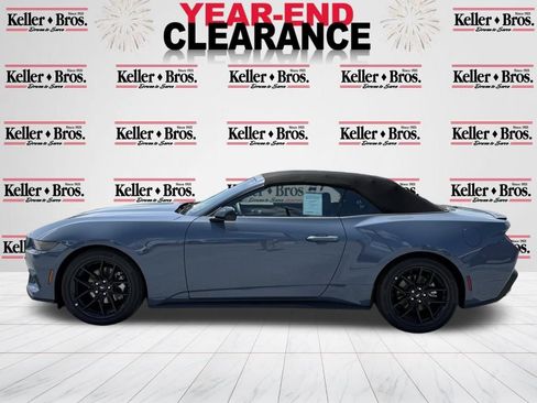 New 2025 Ford Mustang Premium w/ Mustang Nite Pony Package image 5