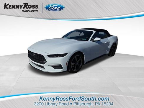 Used 2025 Ford Mustang Premium image 1