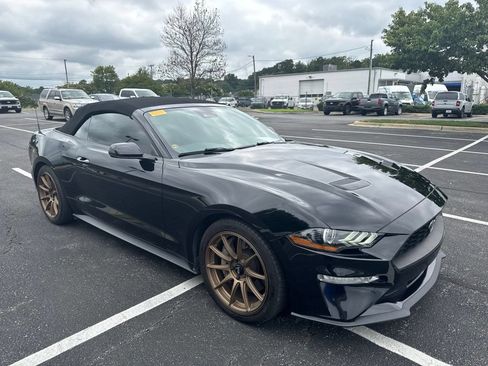Used 2019 Ford Mustang Premium w/ Ecoboost Performance Package RWD image 2
