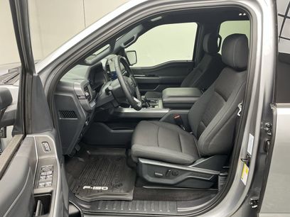 New 2025 Ford F150 XLT w/ Equipment Group 302A MID