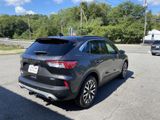 Used 2020 Ford Escape SEL image 5