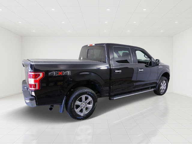 Certified 2019 Ford F150 XLT w/ Equipment Group 302A Luxury AWD/4WD image 6