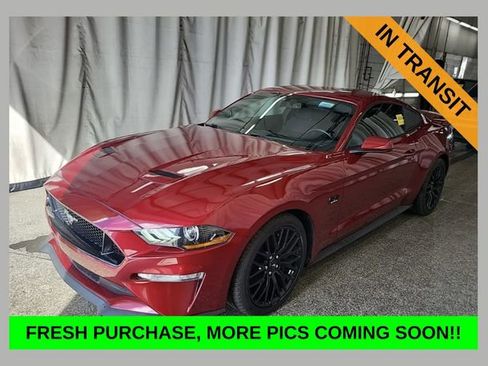 Used 2019 Ford Mustang GT w/ GT Performance Package image 1