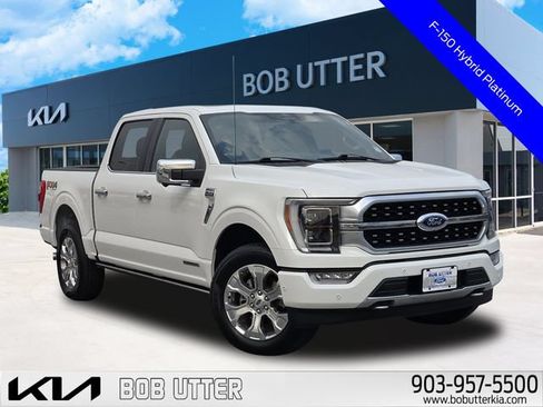 Used 2021 Ford F150 Platinum w/ Equipment Group 701A High AWD/4WD image 1