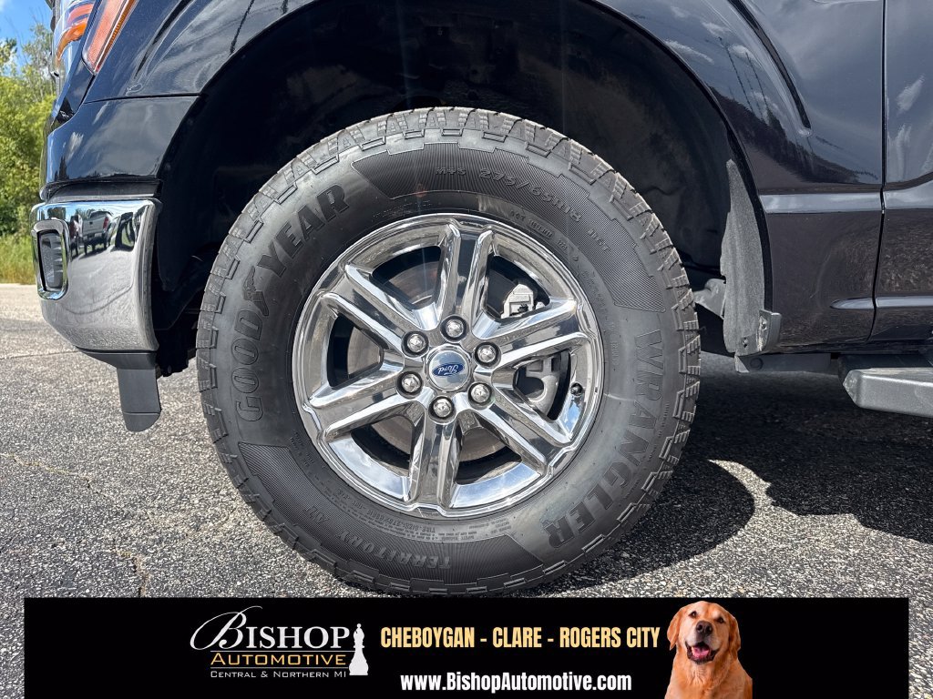 Used 2025 Ford F150 XLT w/ Equipment Group 301A Standard AWD/4WD image 18