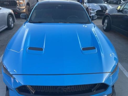 Used 2023 Ford Mustang GT Premium w/ Mustang Nite Pony Package image 3