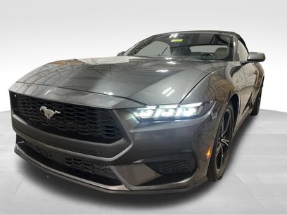 Used 2024 Ford Mustang Premium