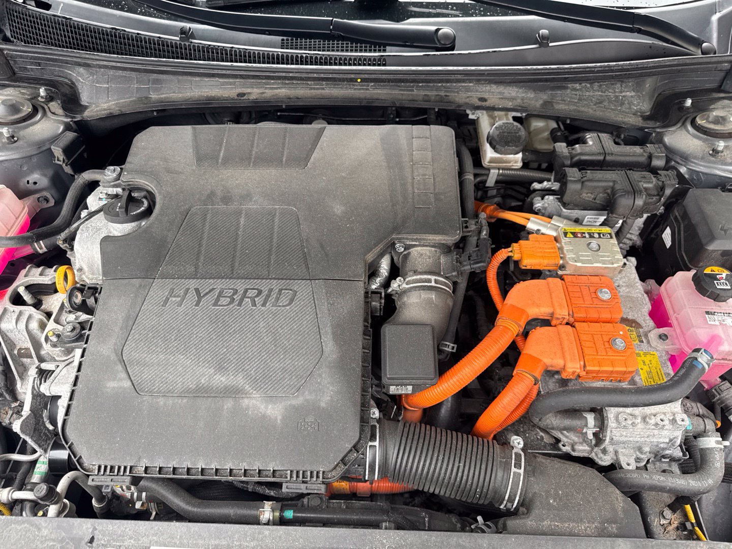 Used 2025 Hyundai Elantra Limited FWD image 29