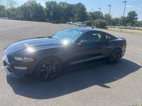 Used 2023 Ford Mustang GT Premium w/ Mustang Nite Pony Package RWD image 1