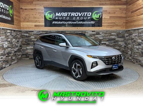 Used 2023 Hyundai Tucson Limited image 1