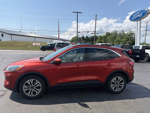 Used 2020 Ford Escape SEL AWD/4WD image 5