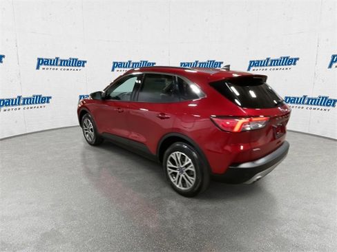 Used 2020 Ford Escape SEL image 8