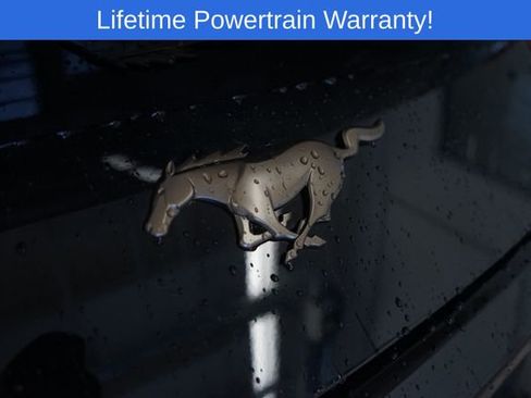 New 2026 Ford Mustang Convertible w/ Bronze Appearance Package RWD image 12