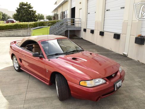 Used 1998 Ford Mustang Cobra RWD image 28