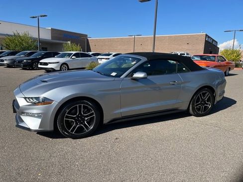 Used 2023 Ford Mustang Premium image 1
