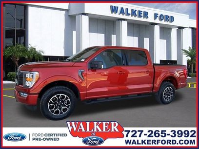 Certified 2023 Ford F150 XLT w/ Equipment Group 302A High