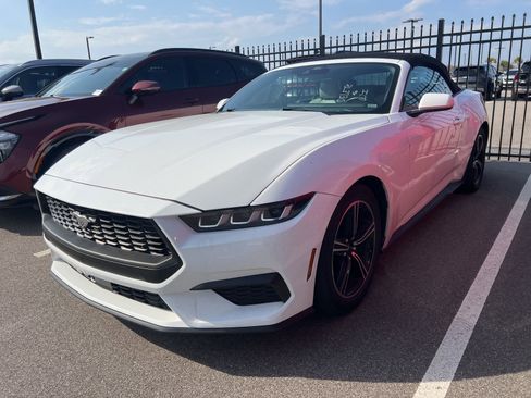 Used 2024 Ford Mustang Premium image 3