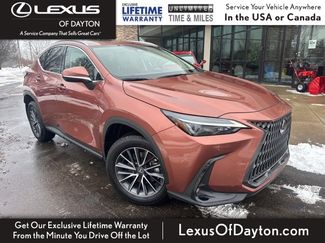 Certified 2025 Lexus NX 350 AWD w/ Cold Area Package video 1