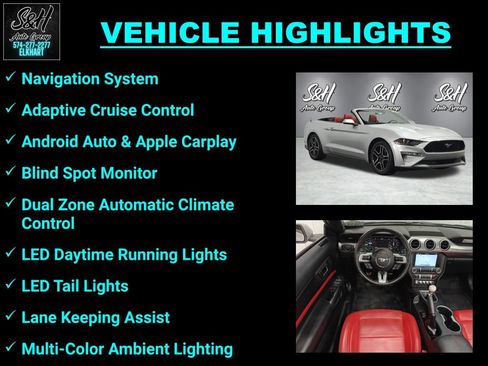Used 2019 Ford Mustang Premium w/ Equipment Group 201A RWD image 3