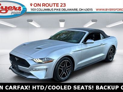 Used 2019 Ford Mustang Premium