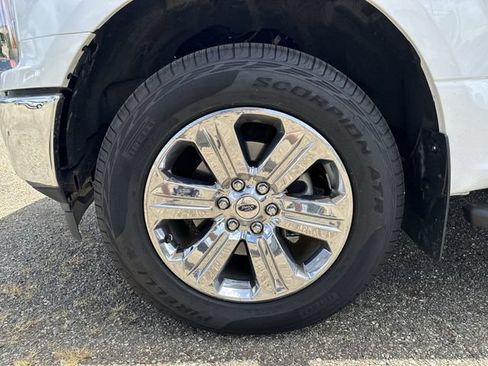 Used 2019 Ford F150 XLT w/ Equipment Group 302A Luxury AWD/4WD image 21