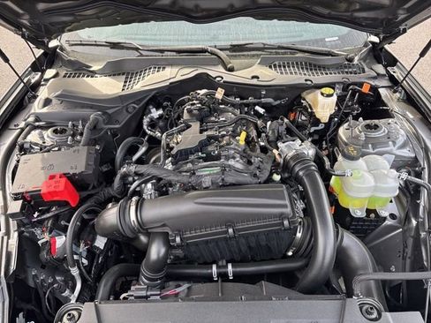 New 2026 Ford Mustang Coupe image 22