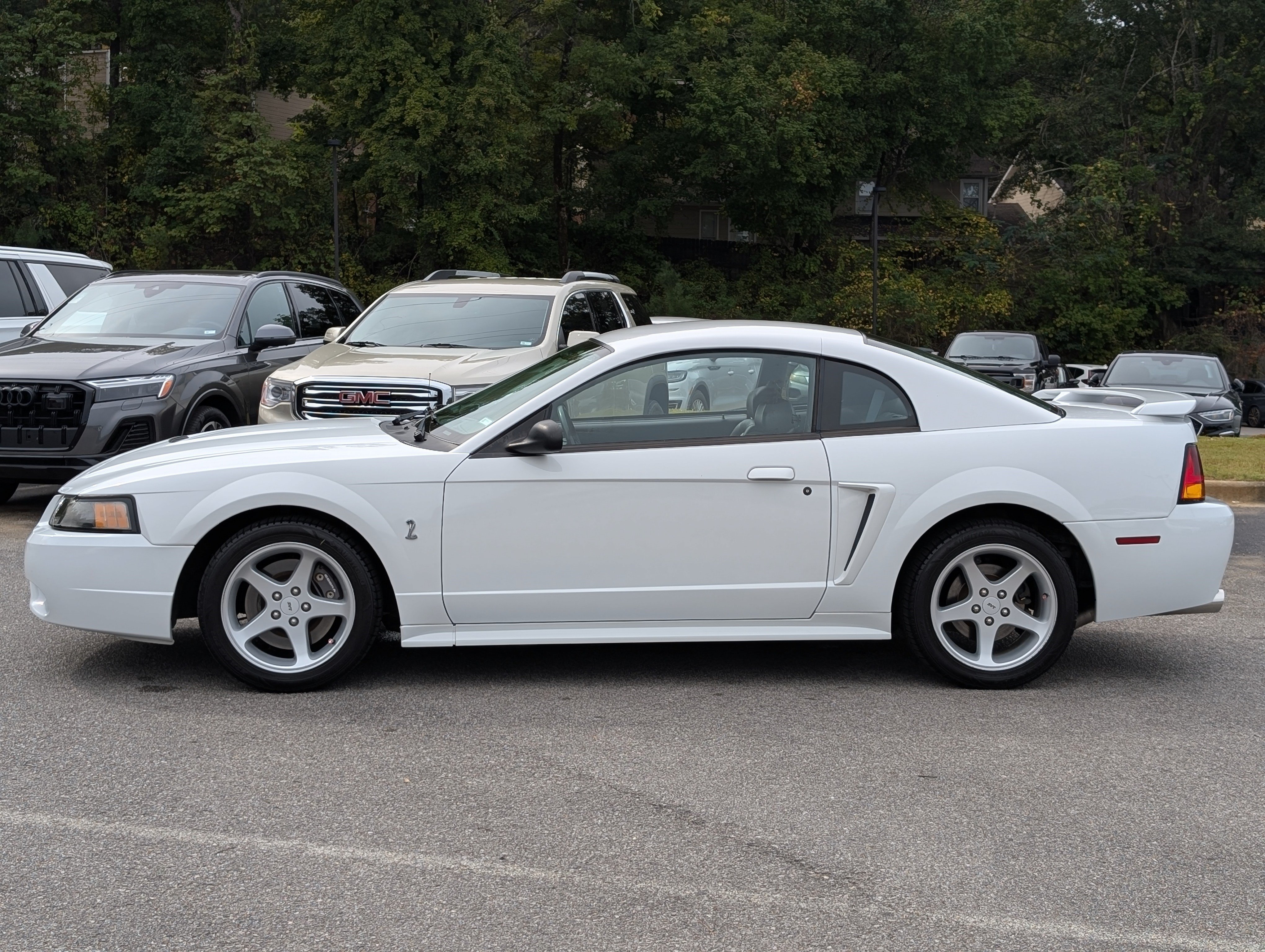 Used 2001 Ford Mustang Cobra RWD image 6