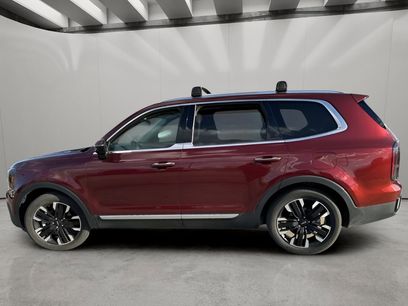 Used 2024 Kia Telluride SX w/ Towing Package