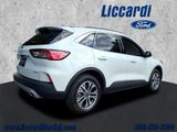 Used 2022 Ford Escape SEL image 2