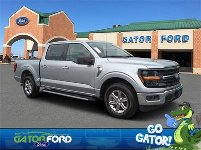 Used 2025 Ford F150 XLT w/ Equipment Group 301A Standard
