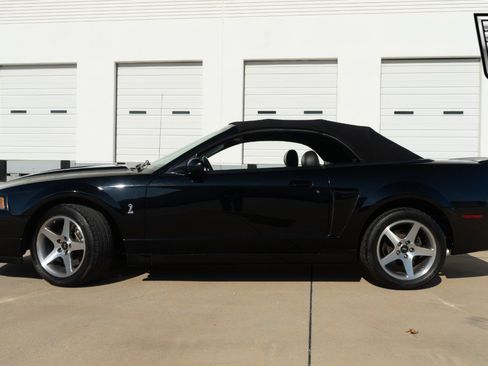 Used 2003 Ford Mustang Cobra image 3