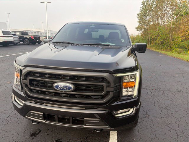 Used 2023 Ford F150 XLT w/ Equipment Group 302A High AWD/4WD image 6