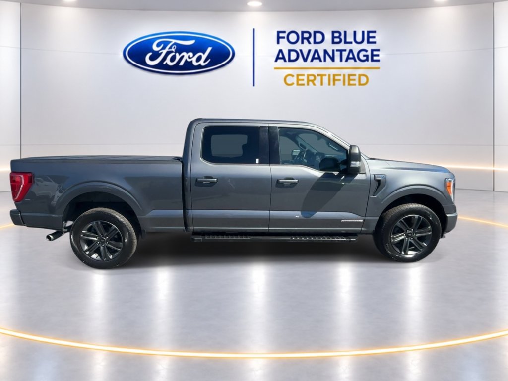 Certified 2023 Ford F150 XLT w/ Equipment Group 302A High AWD/4WD image 10