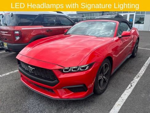 Used 2024 Ford Mustang Premium RWD image 2