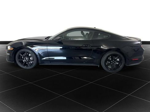 Used 2019 Ford Mustang GT w/ Equipment Group 301A RWD image 2
