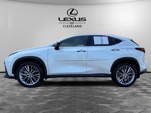 Used 2025 Lexus NX 350h AWD w/ Rear Seat Package image 3