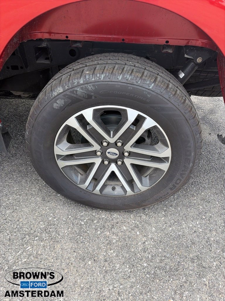 Used 2023 Ford F150 XL w/ STX Appearance Package AWD/4WD image 13
