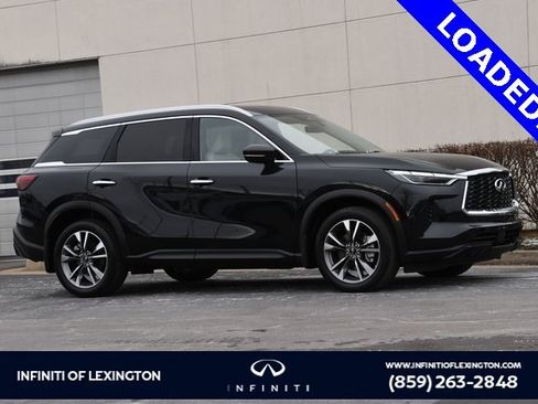 Used 2023 INFINITI QX60 Luxe image 1